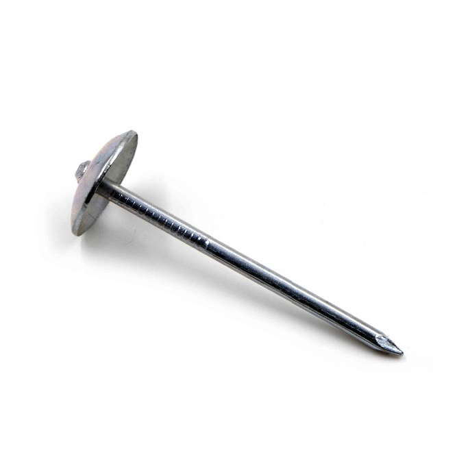 Roofing Nail